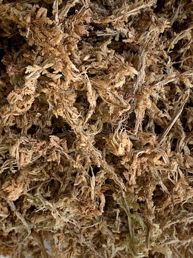 Cascade Sphagnum Moss