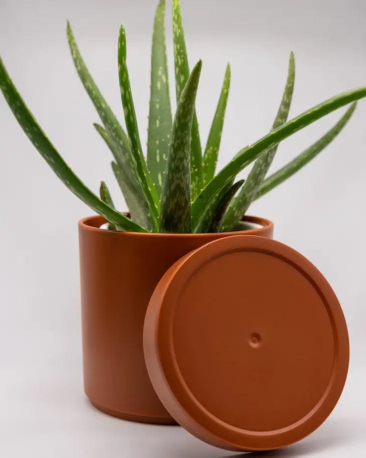 Plastic Cylinder Plant Pot with Saucer