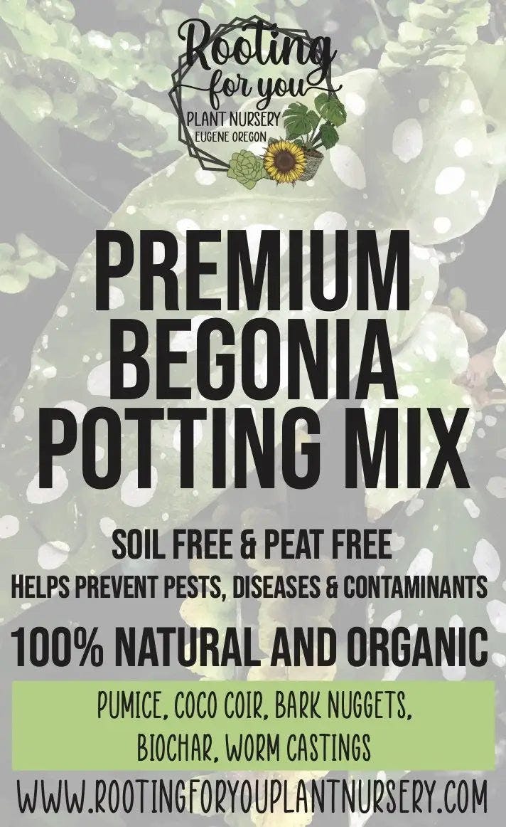 Rooting for You Begonia Premium Potting Mix