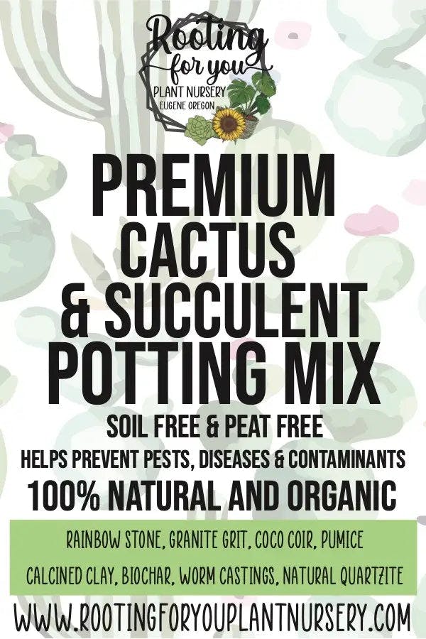 Rooting for You Cactus & Succulent Premium Potting Mix