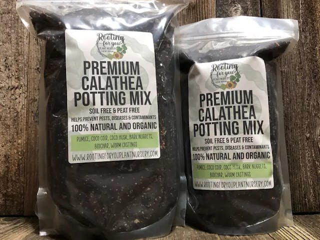 Rooting for You Calathea Premium Potting Mix