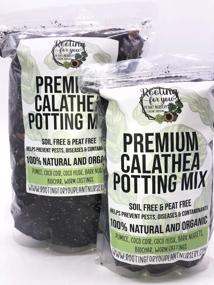 Rooting for You Calathea Premium Potting Mix