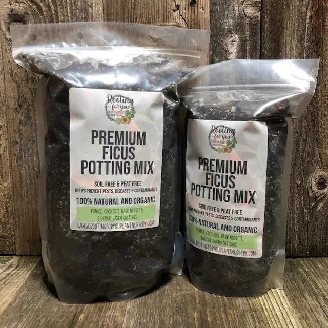 Rooting for You Ficus Premium Potting Mix