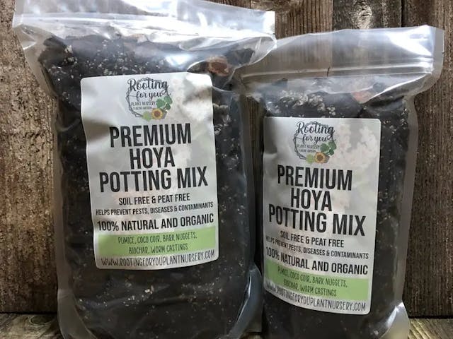 Rooting for You Hoya Premium Potting Mix
