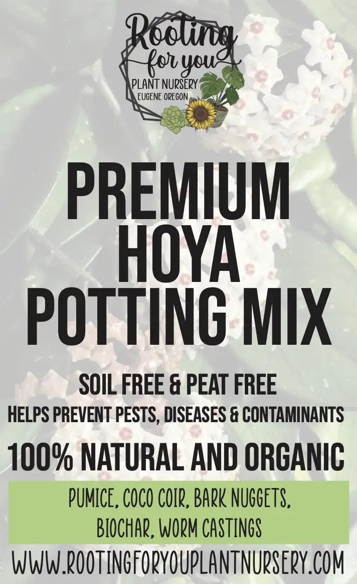 Rooting for You Hoya Premium Potting Mix