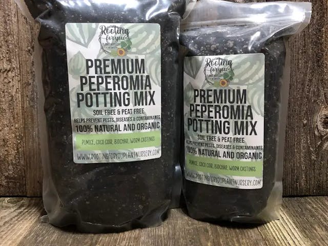 Rooting for You Peperomia Premium Potting Mix