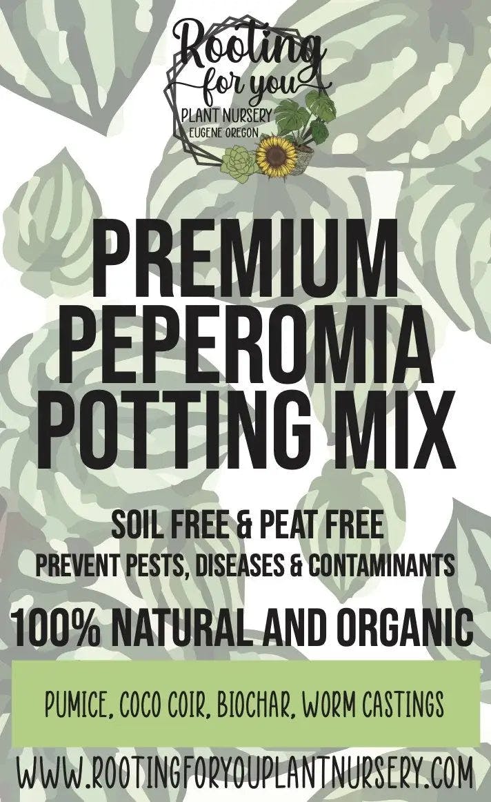 Rooting for You Peperomia Premium Potting Mix