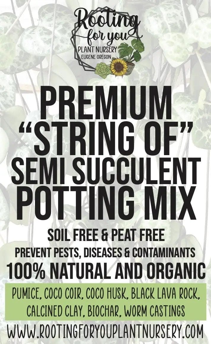 Rooting for You "String of..." Semi Succulent Premium Potting Mix