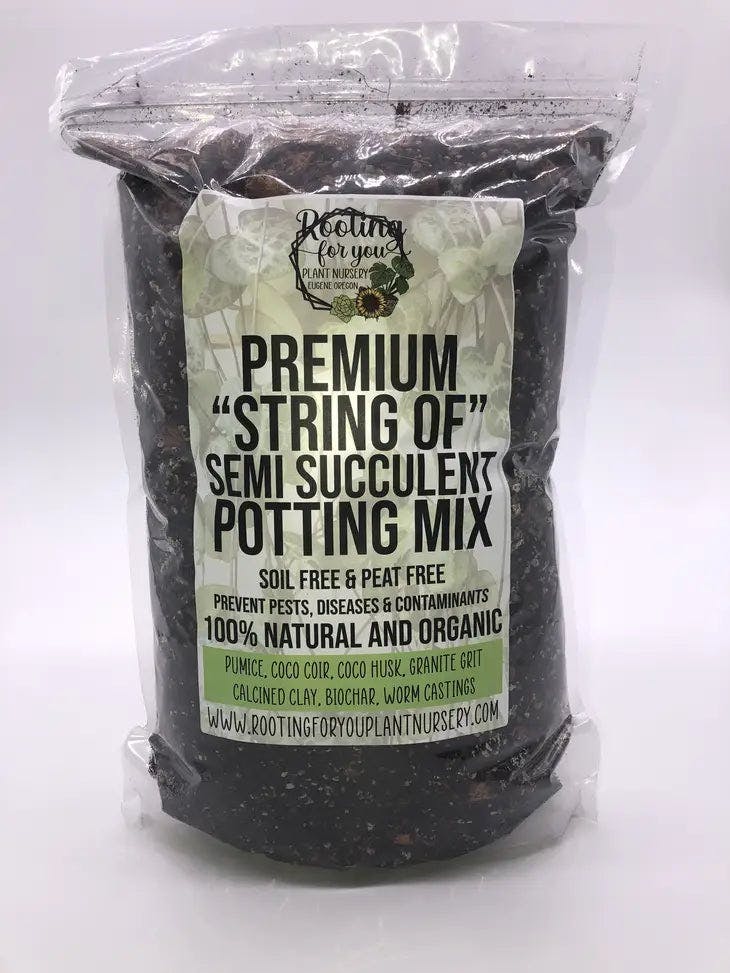 Rooting for You "String of..." Semi Succulent Premium Potting Mix