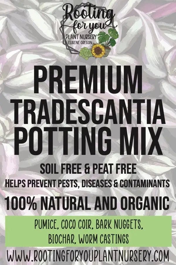 Rooting for You Tradescantia Premium Potting Mix